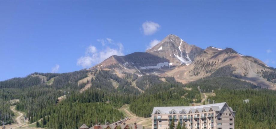 52nd Annual Anomalous Absorption Conference