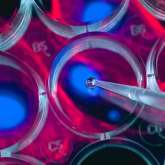 Le cosmos dans le laboratoire