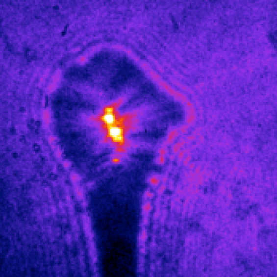 PARI (Particules, Applications, Rayonnement & Interaction)